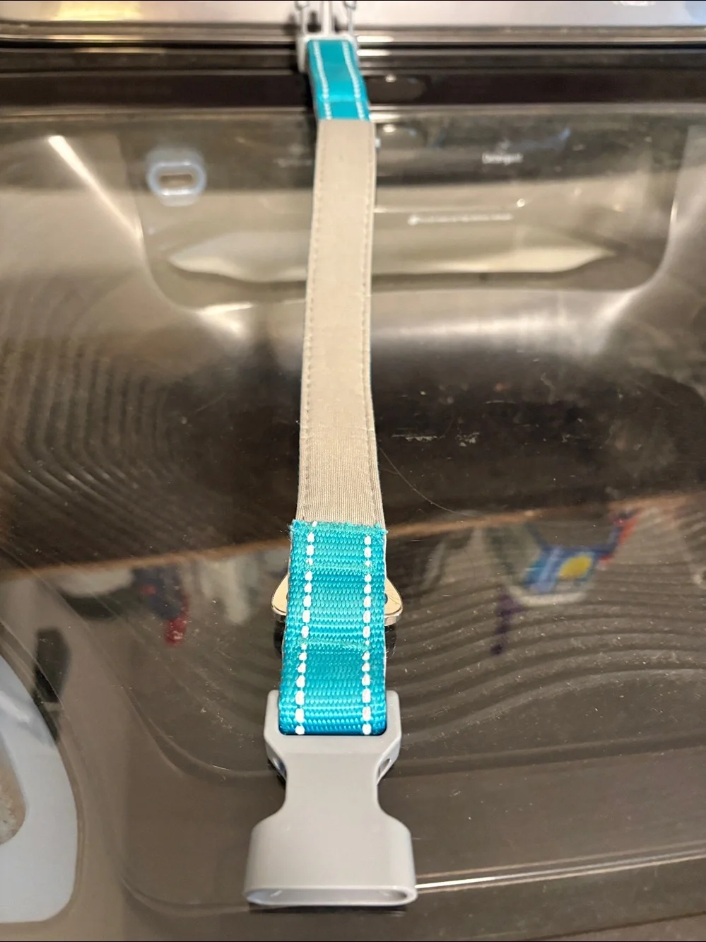 Teal Dog Collar Clip Sz M